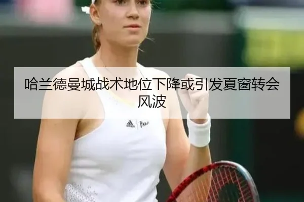 哈兰德曼城战术地位下降或引发夏窗转会风波（ayx）